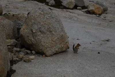 DSC_4438 (Large).JPG